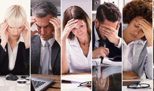 Bill and Snowden in a coaching session